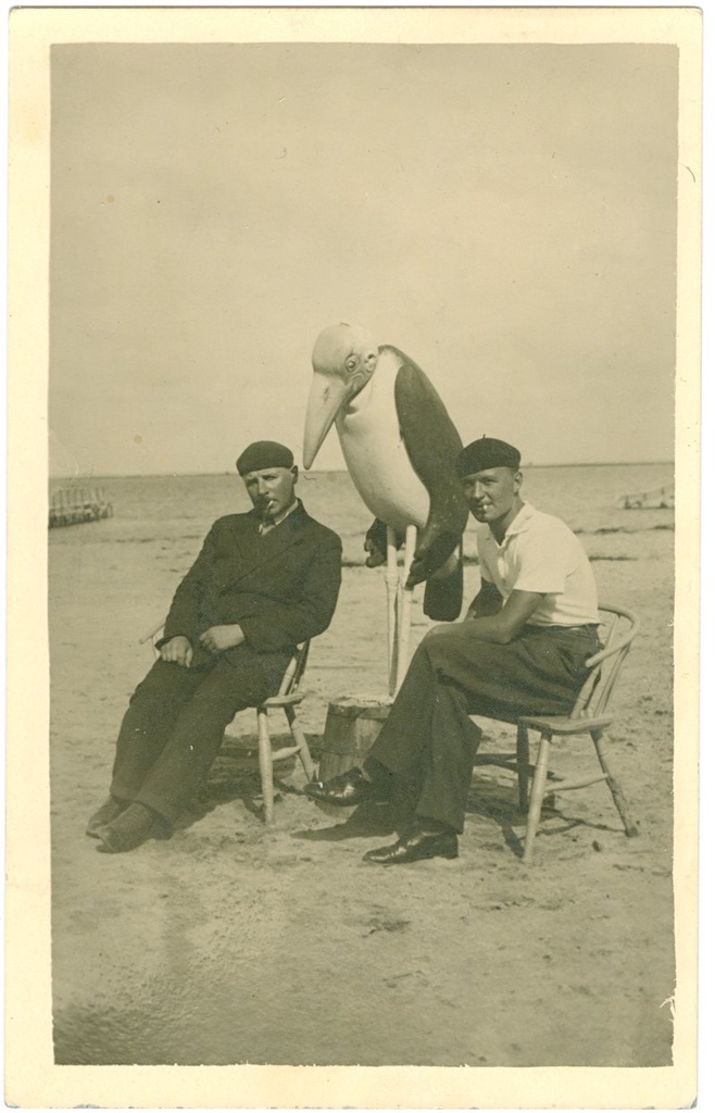 Foto. Suvitajad marabu juures Haapsalus Aafrika rannas.  Foto: J. Grünthal.