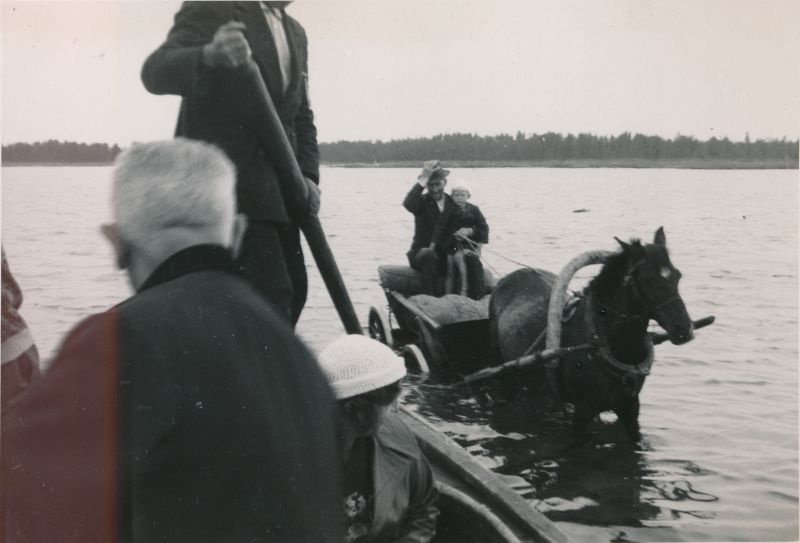 Foto. Hobusega meres, Hullo.  Albumis Suvemälestused Vormsilt. 1933/34. Foto: J.F. Luikmil.