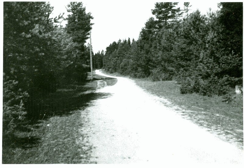 Foto. Suuremõisa - Saksby tee.  Albumis Suvemälestused Vormsilt. 1933/34. Foto: J.F. Luikmil.