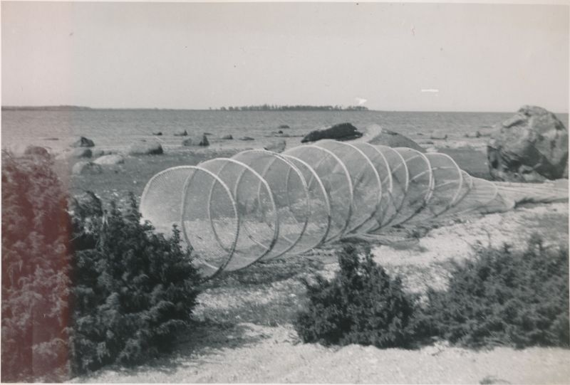Foto. Võrgud (mõrrad) rannas. Rulby.  Albumis Suvemälestused Vormsilt. 1933/34. Foto: J.F. Luikmil.