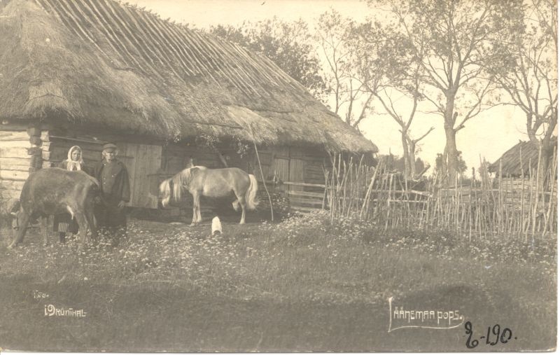 Foto. Läänemaa popsi majapidamine: suitsutare ees mees, naine, hobune ja lehm.