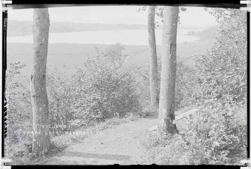 fotonegatiiv, Vaade lossimägedest Viljandi järvele, heinamaale, Valuoja ojale