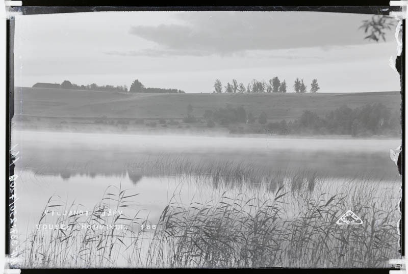 fotonegatiiv, Viljandi järv udusel hommikul