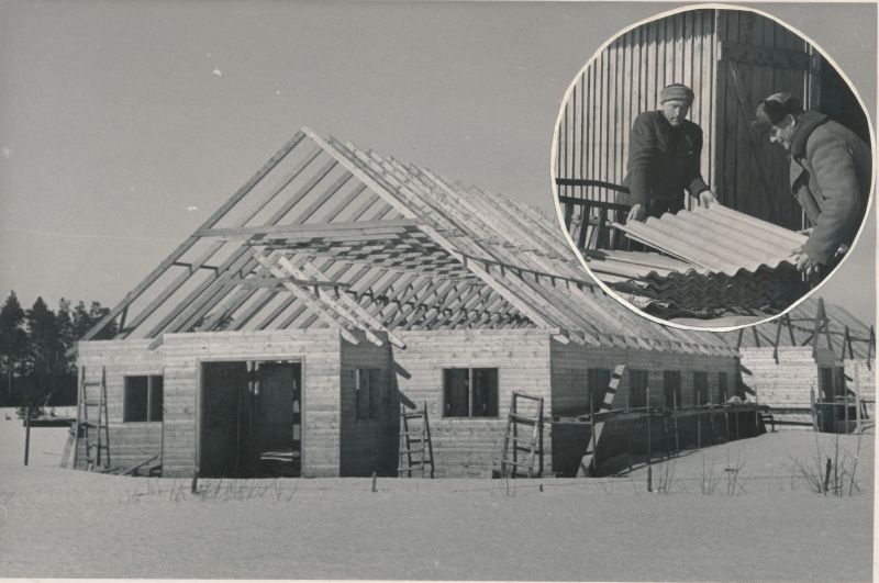 Foto. Vaade ehitatavale karjalaudale. Sööris: kolhoosi liikmed katusematerjali kohale vedamas. 1953. Fotogr. E. Järve.