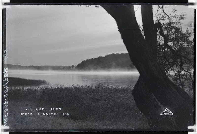 fotonegatiiv, Viljandi järv udusel hommikul