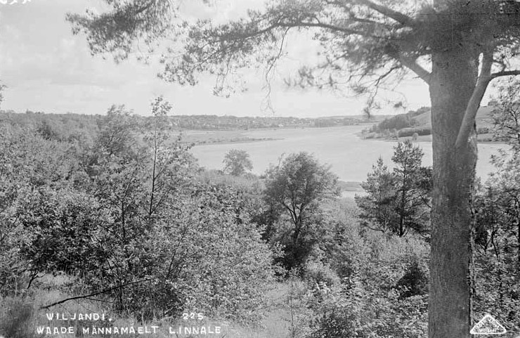 fotonegatiiv, Vaade Männimäelt linnale, Viljandi järvele.