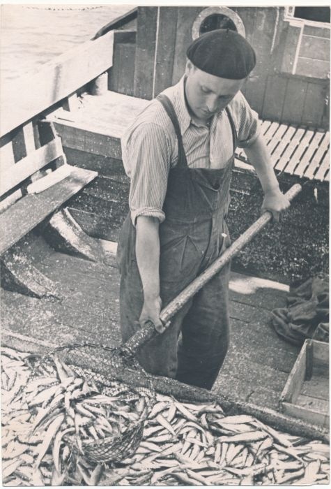 Foto. Haapsalu raj. adm. Nahhimovi nom. kalurikolhoosi eesrindlik kalur Huugo Roberg. Foto: Kuznetsov. 1961.