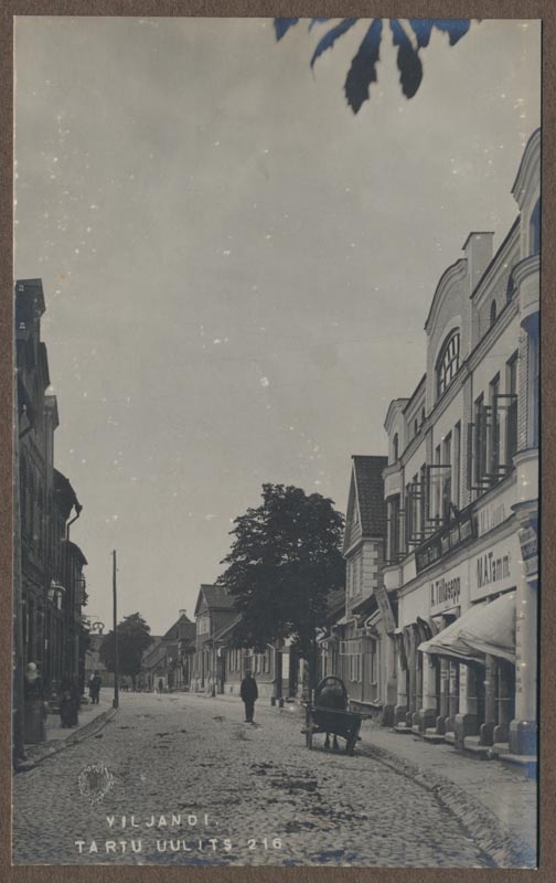 Photo, Viljandi, Tartu tn, approx. 1905