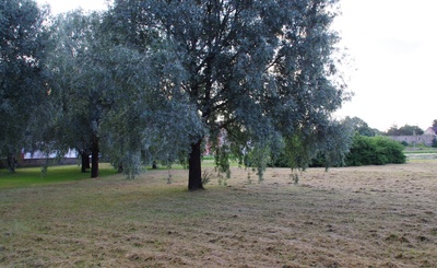 Rakvere laululava Rahvaaias rephoto