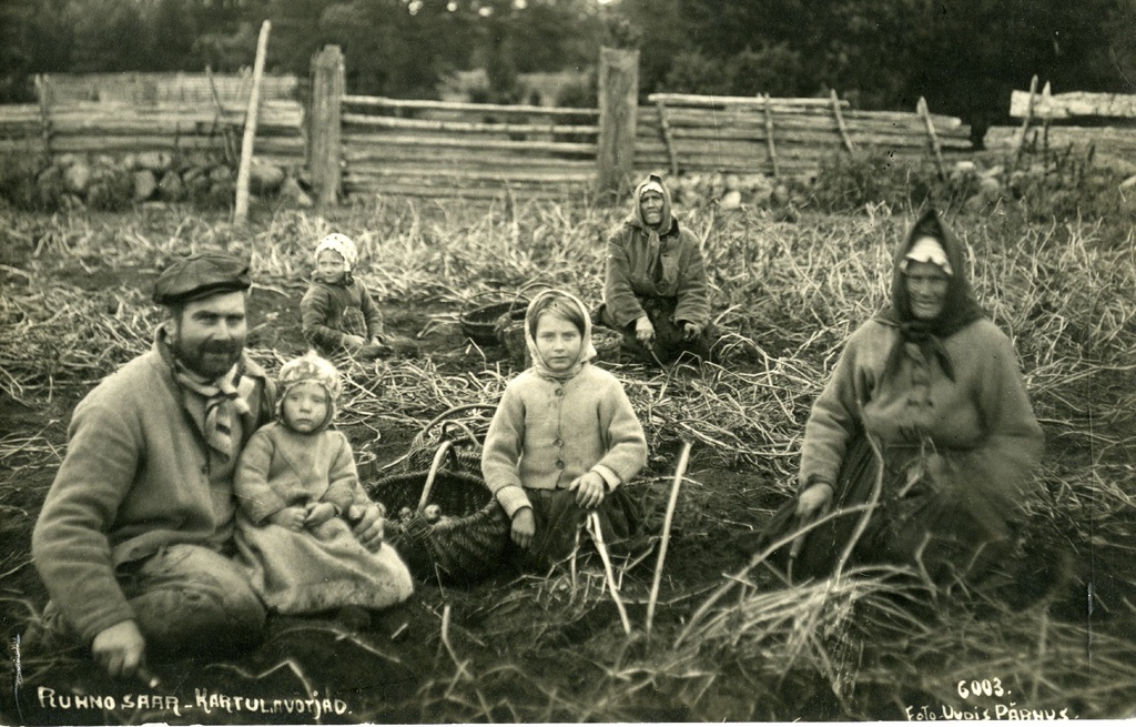 Ruhnlased kartuleid võtmas