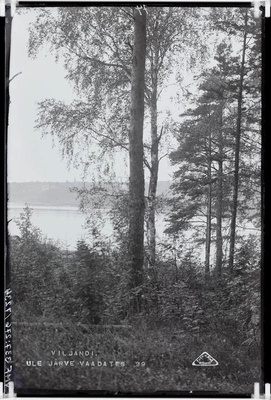 fotonegatiiv, Viljandi, Vaade järve vastaskaldalt järvele, linnale (veetorni, Jaani kiriku ümbruses).  duplicate photo