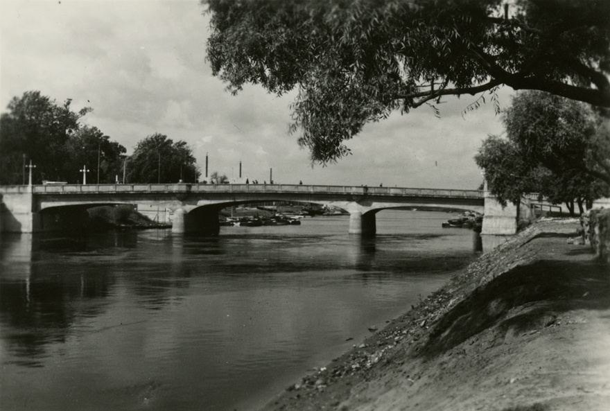 Freedom Bridge in Tartu