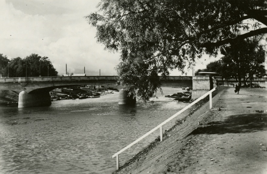 Freedom Bridge in Tartu