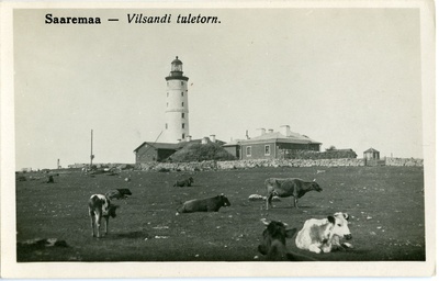Vilsandi tuletorn ja tuletornilinnak  duplicate photo