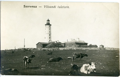 Vilsandi tuletorn ja tuletornilinnak  duplicate photo