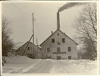 Photo, Dog, MTJ, earlier wine factory in 1959.