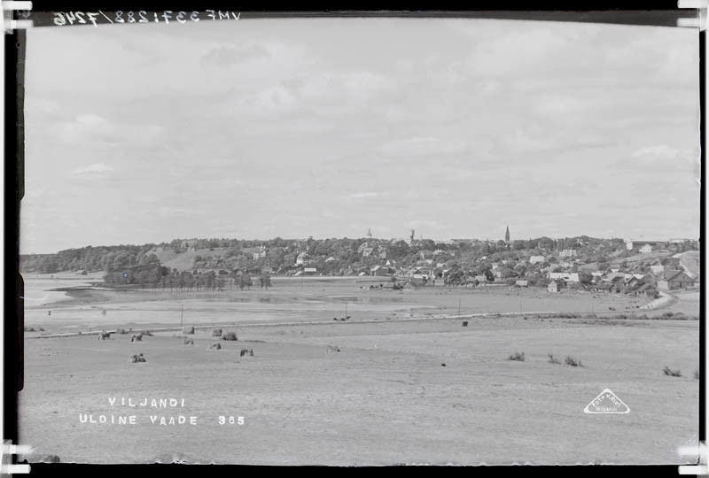 fotonegatiiv, Viljandi, Vaade Tartu maanteelt linnale