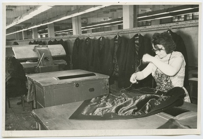 Baltika  duplicate photo