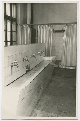 Baltika  similar photo