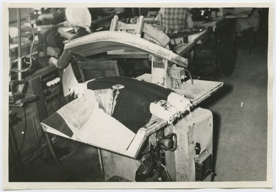 Baltika  similar photo