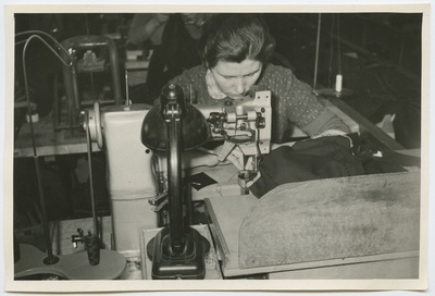 Baltika  similar photo