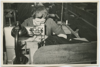 Baltika  similar photo