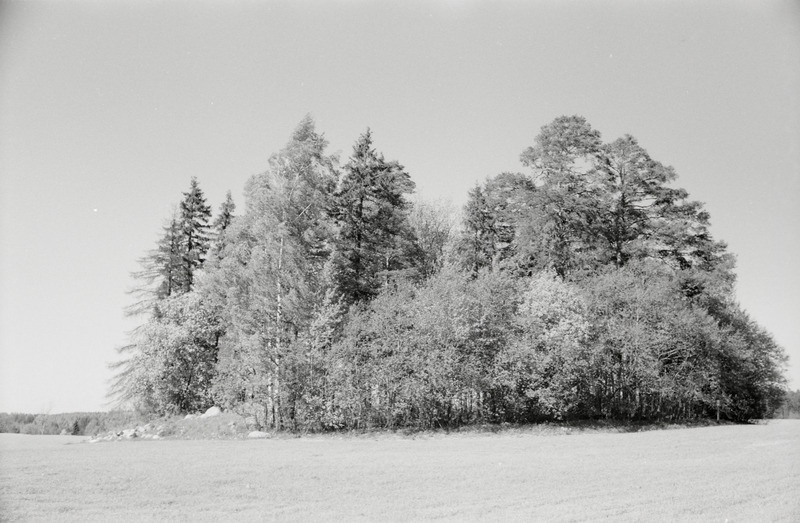 fotonegatiiv, Viljandimaa, Polli külanõukogu, maa-alune kalmistu, 1971, foto A. Kiisla