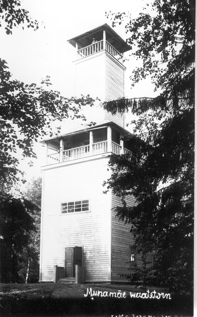 Photo. Big Eagle Mountain View Tower.