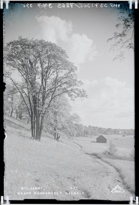 fotonegatiiv, Viljandi, Vaade Männimäelt heinamaale, linnale  duplicate photo