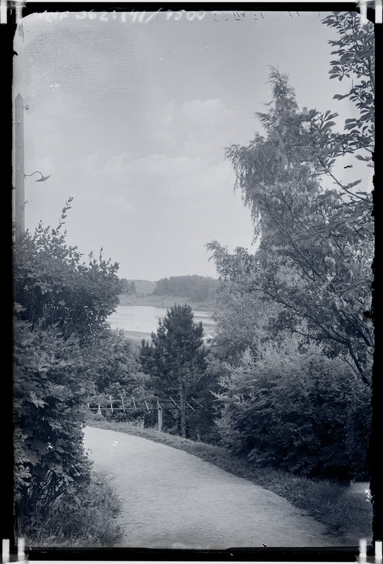 klaasnegatiiv Viljandi, vaade Trepimäelt järvele 1933 F T. Parri