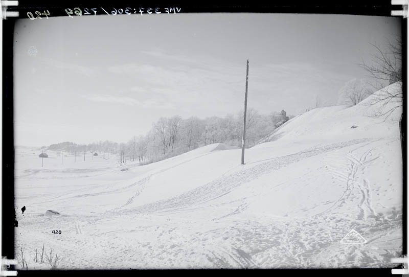 fotonegatiiv, Viljandi järveäärne (lossimägede all), heinamaa Männimäed talvel