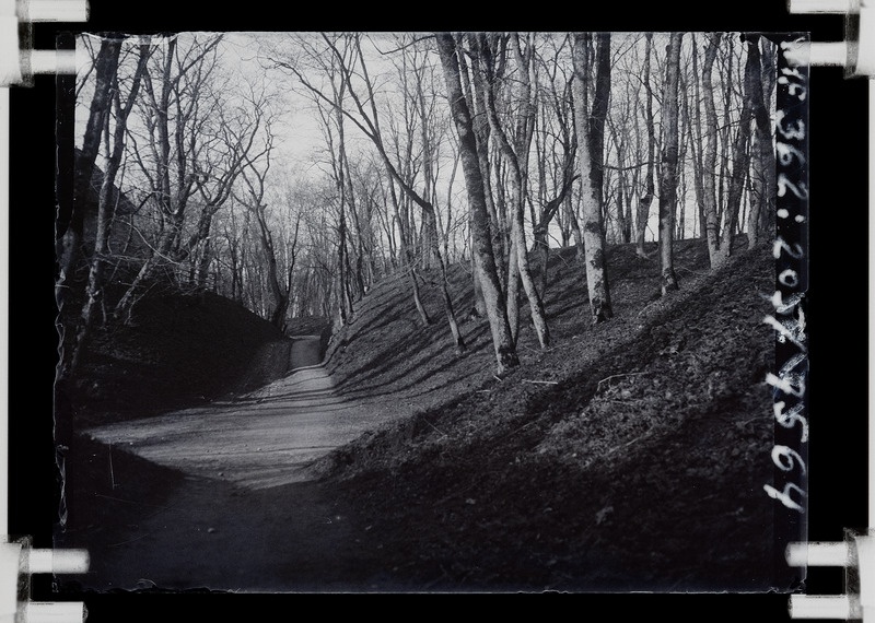 klaasnegatiiv Viljandi lossimäed, Suurorg, jalgtee 1931 F T. Parri