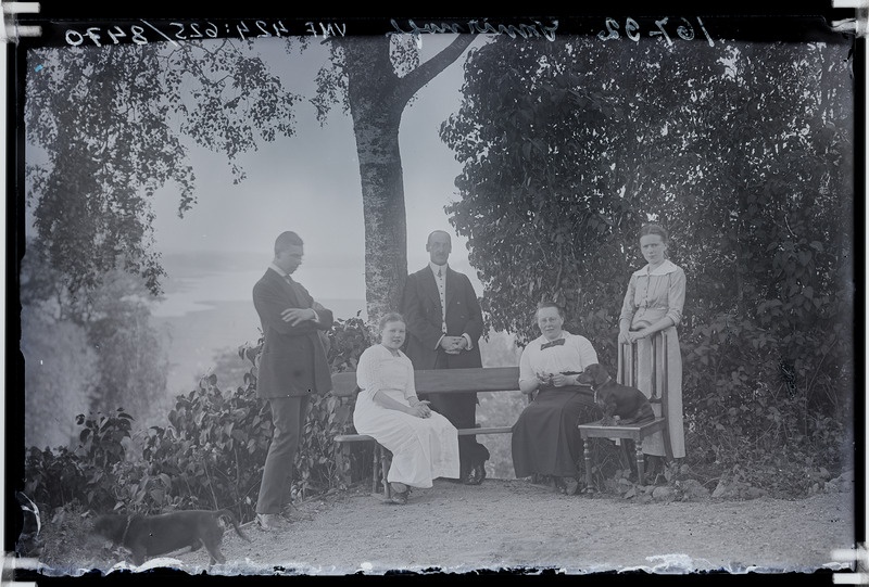 fotonegatiiv, Viljandi lossimäed, 5 inimest, pink, koer, taamal järv, 1914, foto J. Riet