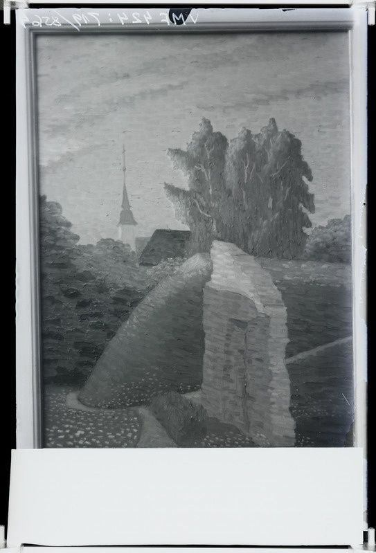 fotonegatiiv, Jaan Vanakamara maal, Viljandi lossimäed, 1912, foto J. Riet