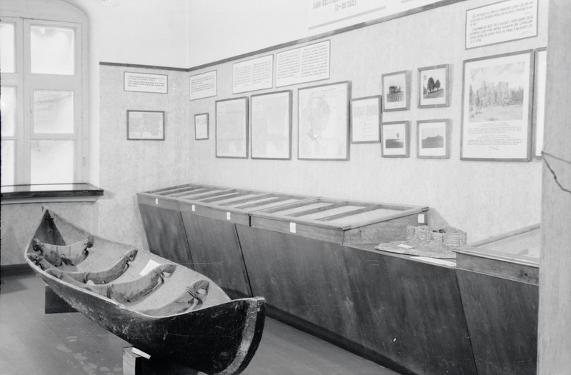 fotonegatiiv, Viljandi muuseum, arheoloogia ruum, 1958, foto L. Vellema