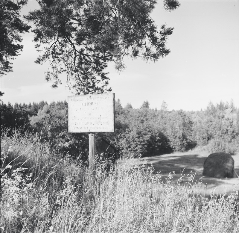 fotonegatiiv, Viljandimaa, Holstre, Kindralimägi, kivikalme, 1966, foto A. Kiisla