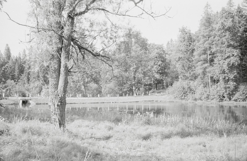 fotonegatiiv, Viljandimaa, Polli, Kutsiku järv, 1965, foto A. Kiisla