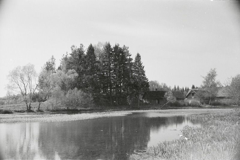 fotonegatiiv, Viljandimaa, Polli küla, Saksaveske järv, 1964, foto A. Kiisla