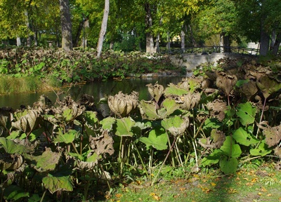Rakvere rahvapark rephoto
