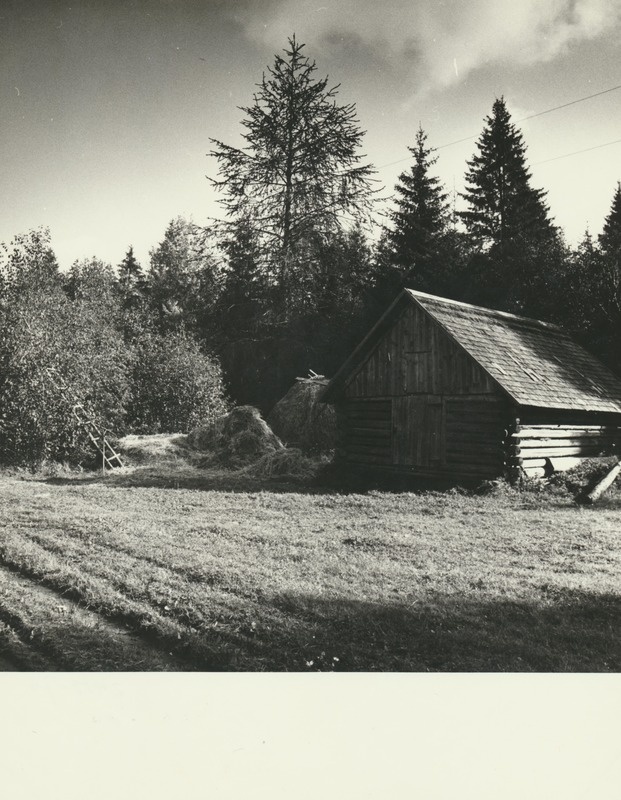 Ussikuusk Sootaguse külas