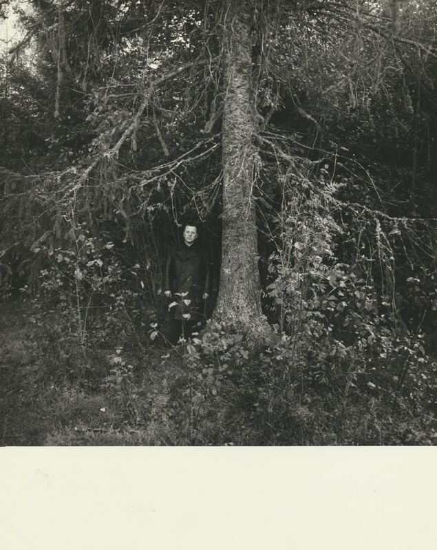 Ussikuusk Sootaguse külas