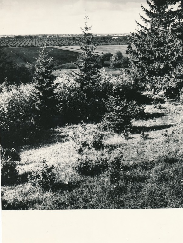 Pahnimägi