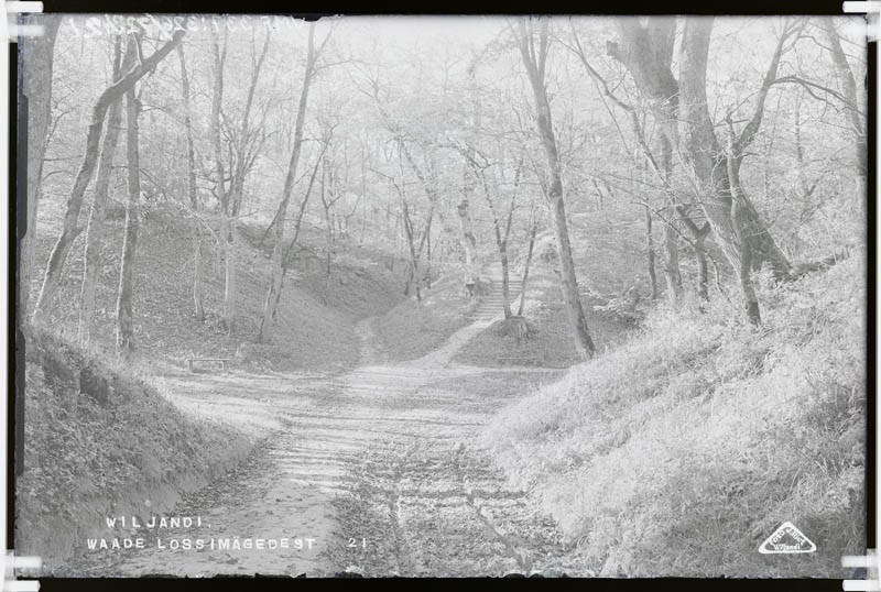 fotonegatiiv, Viljandi, Vaade lossimägedest (orgude ristumine)