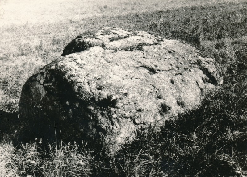 Kultuskivi Mõdrikus