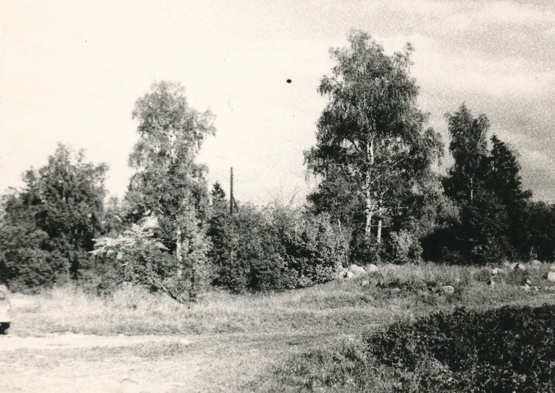 Kivikalmed Põdrangu sovhoosi Porkuni osakonnas