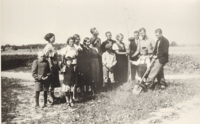 Photocopy, planting trees along the road to the village of Koordi