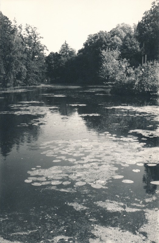 Vihula veskijärv