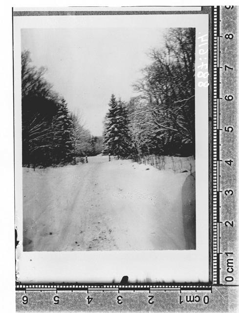 Laitse Manor (Laitz), an entrance route in winter 1935. Nissi khk