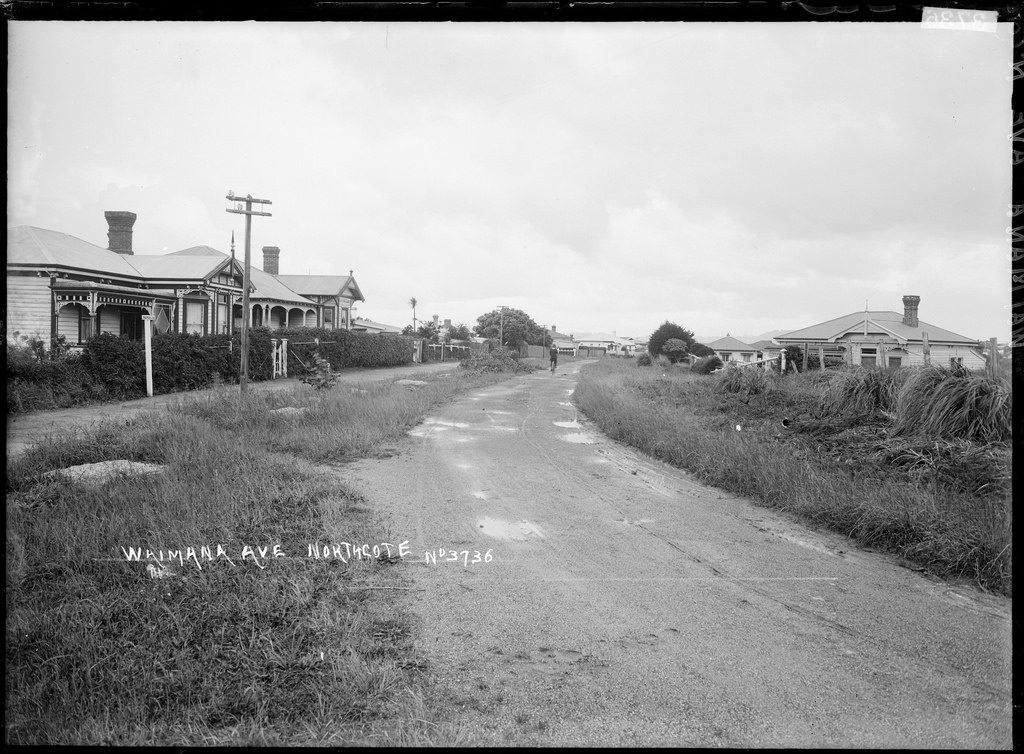 View of Waimana Avenue, Northcote, Auckland