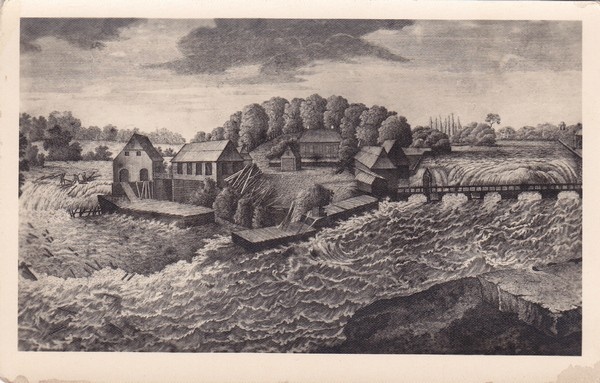 Kreenholmi saar